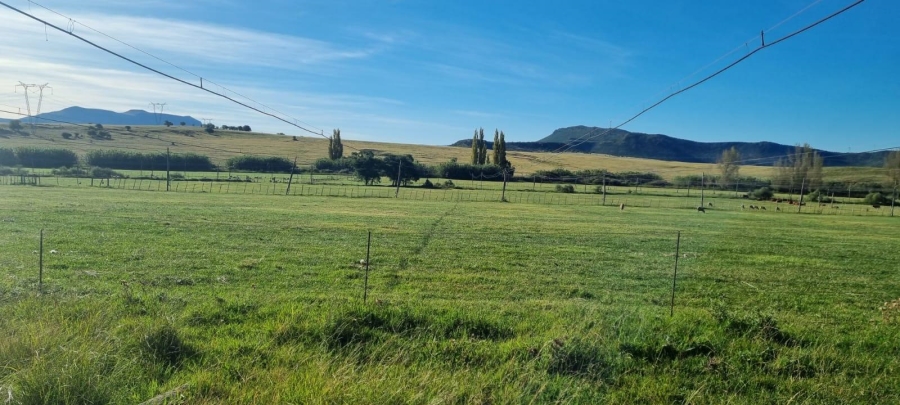 4 Bedroom Property for Sale in Queenstown Rural Eastern Cape